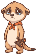Scout le suricate tout triste, quelque chose s'est mal passé